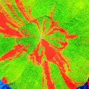 신반포로45길 59 이미지