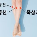 족삼리 이미지