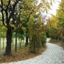 송내초등학교 이미지