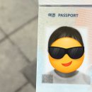 픽미 | 반려없이 단돈 7500원으로 집에서 셀프 아기 여권사진 만들기 지피티 픽미 성공 후기