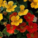 팀에이치씨 이미지