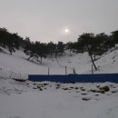 중앙흑염소농장 이미지