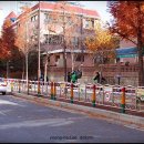 배영초등학교 이미지