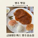 금화왕돈까스 양주삼숭점 | [양주] 금화왕돈까스 양주삼숭점, 왕돈까스와 세숫대야모밀 솔직후기