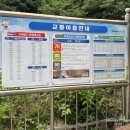 석주 물회 | 삼척 여름여행지 추천 국내 최대크기 동굴 환선굴