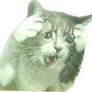 베니플 | ’클라우디아‘ 웨딩드레스 가봉 후기