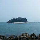 로뎀나무펜션민박 이미지