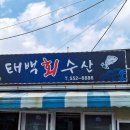 태백수족관 이미지