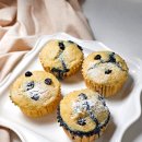 궁전애견 이미지