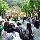 디즈니골프 이미지