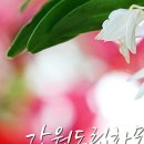 강원꽃식물원 이미지