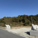 거북이펜션 | 충남 보령 한옥 독채 팬션, 거북이한옥 상세한 후기