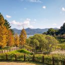 통영RCE세자트라센터 이미지