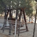 문촌유치원 이미지