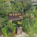 엘린휴버트 이미지