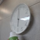 이미경건강과학연구소 | 요즘 살 찌는 이유 알았다… 중앙미생물연구소 캐치콜 라이트 솔직 후기