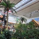 현대바퀴 이미지