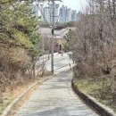 갈마봉공원 네이버블로그