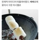 마시멜로 PC방 이미지