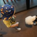 유앤동물의료원 이미지