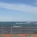 하도바다 이미지