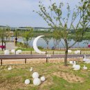 공원 빈대떡 이미지