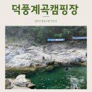 38야영장 | 국내 여름휴가지 추천, 강원도 덕풍계곡캠핑 2야영장에서 즐긴 물놀이(38번 데크 후기)