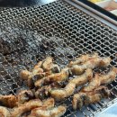 장어의힘 이미지