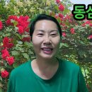 동심으로 이미지
