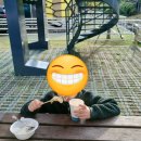 등억알프스야영장 곤충카라반 말벌 후기, 가을 캠핑 간식 추천