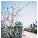 진석농장 이미지