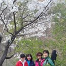 푸른시절7080 이미지