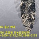 지리산청정농산