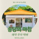 송당의아침 | 제주도 구좌 유기농 빵집 송당의아침 내돈내산 베이커리 주차 택배 예약