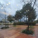 내포동물의료센터 이미지