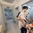 아이본병원 | [탐방]아이본 동물병원