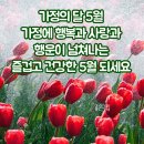 행복한 주말 이미지