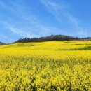 만금농장 이미지