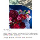 꽃 찾으러 가는 길, 꽃 받고 가는 길 모두 다 행복이었다네💐[백화, 플레르블랑쉬]