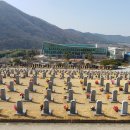 환영 태양광발전소 이미지