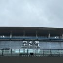 천일양봉 네이버블로그