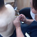 수하림한의원 이미지