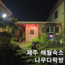 마당과 다락방 | [제주 애월 숙소] 제주 나무다락방 펜션 나무객실 내돈내산 솔직후기 | 가성비 독채, 방 2개 및 객실...