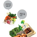 조선마트 이미지