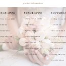 [본식스냅결정] 플립스튜디오(Flipped Studio)로 결정했어요 :)