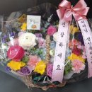 블랙버드플라워 이미지