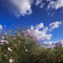 진안군농업기술센터 이미지