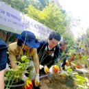 미성동-17 이미지