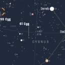 Cygnus의 유명한 별 듀오: 61 Cyg 및 SS Cyg 이미지