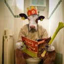 수외과의원 이미지